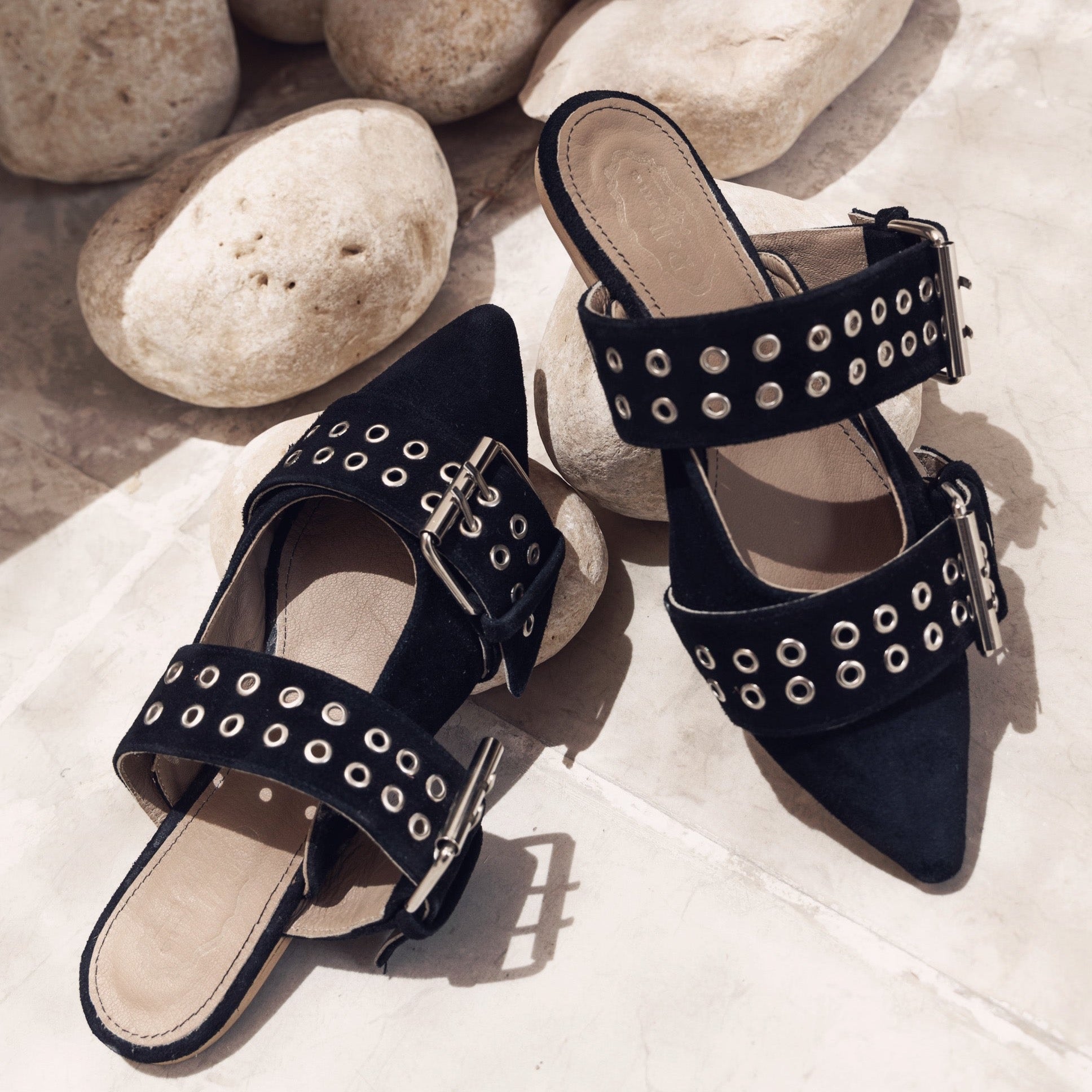 Point-Toe Mules with 2 Buckled Straps Black